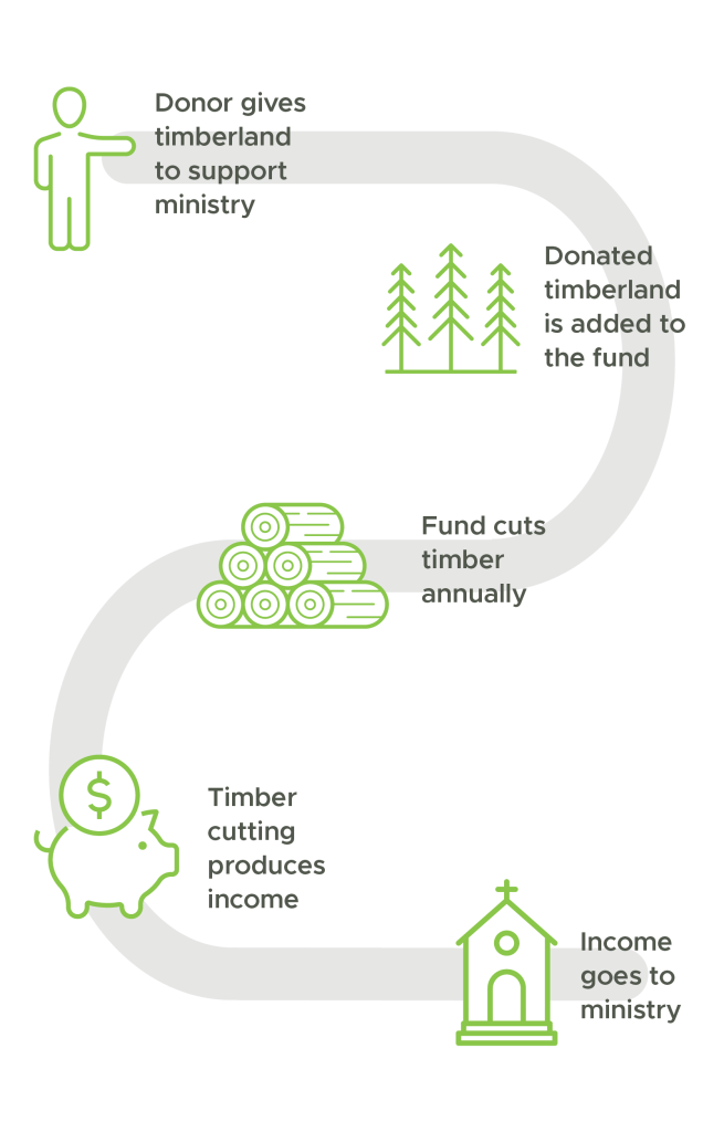 Donor Process Mobile